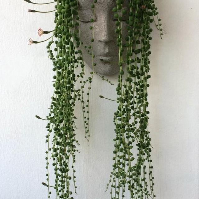 Concrete Vertical Headplanter from Etsy