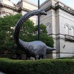 Carnegie Museum of Art & Natural History