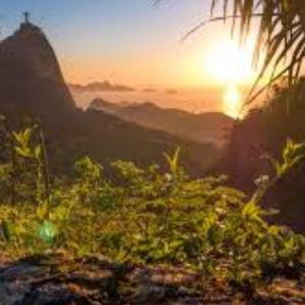 Tijuca Forest Tour for two