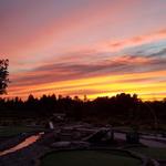 Swing Time Mini-golf