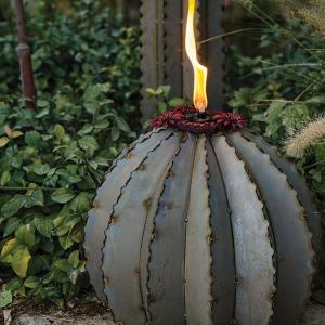 Small Golden Barrel Cactus Torch