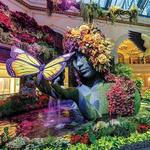 Bellagio Conservatory & Botanical Gardens