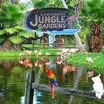Sarasota Jungle Gardens