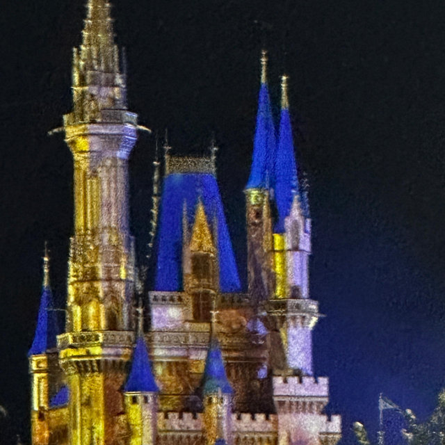 Disney Trip