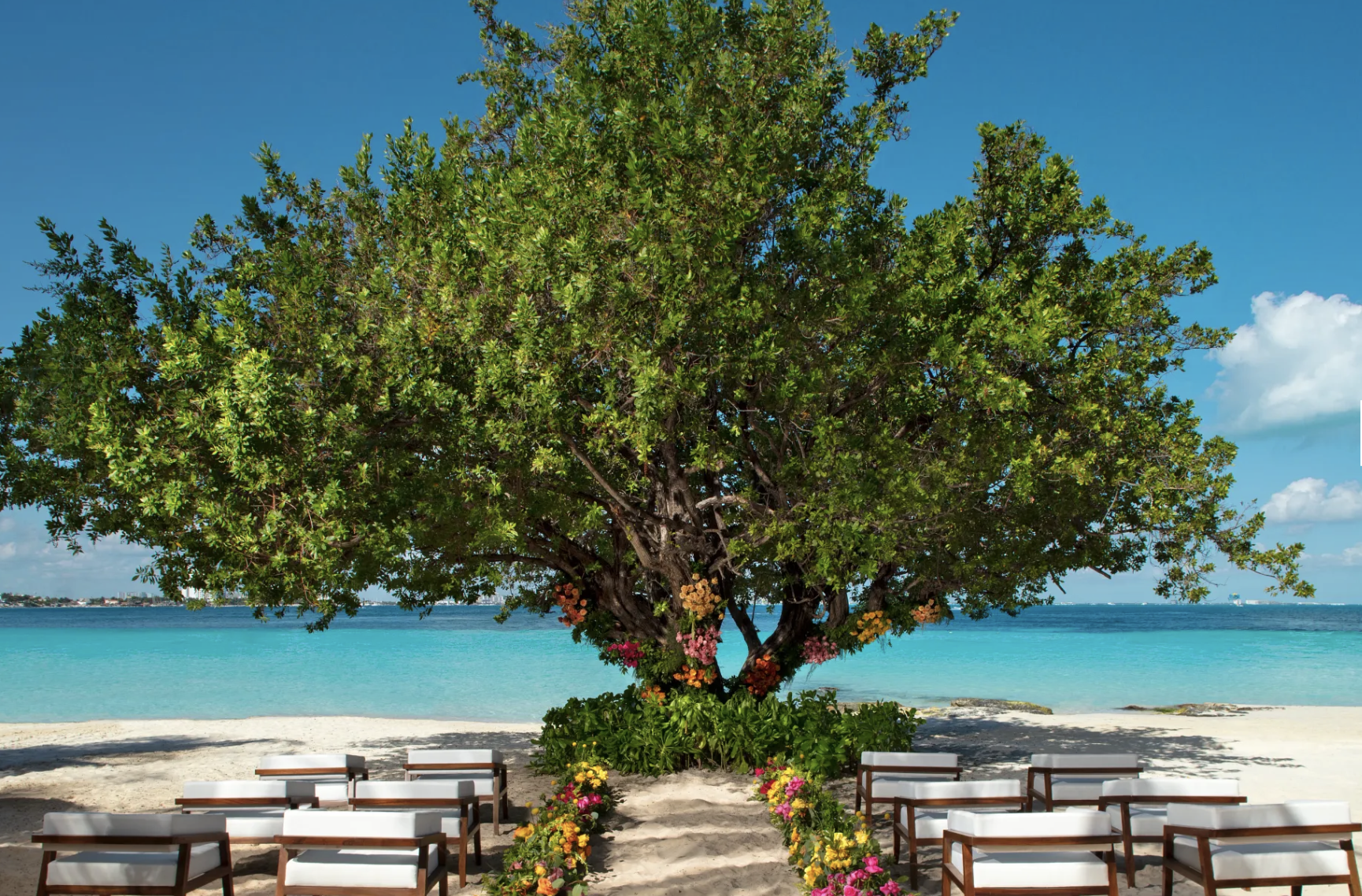 The Wedding Website of Adriana Hernandez and Stephen Sapperstein