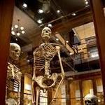 The College of Physicians of Philadelphia
