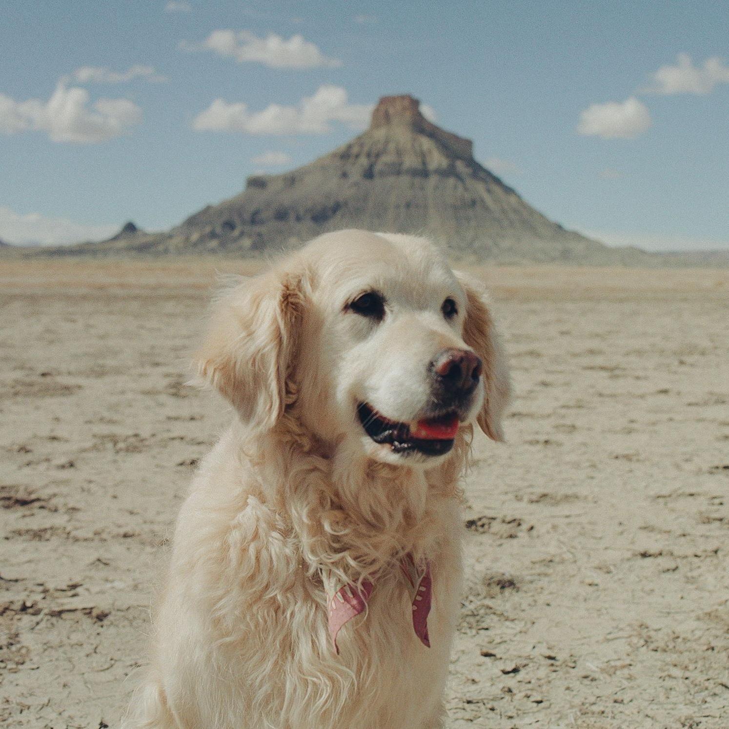 our sweet willow girl <3