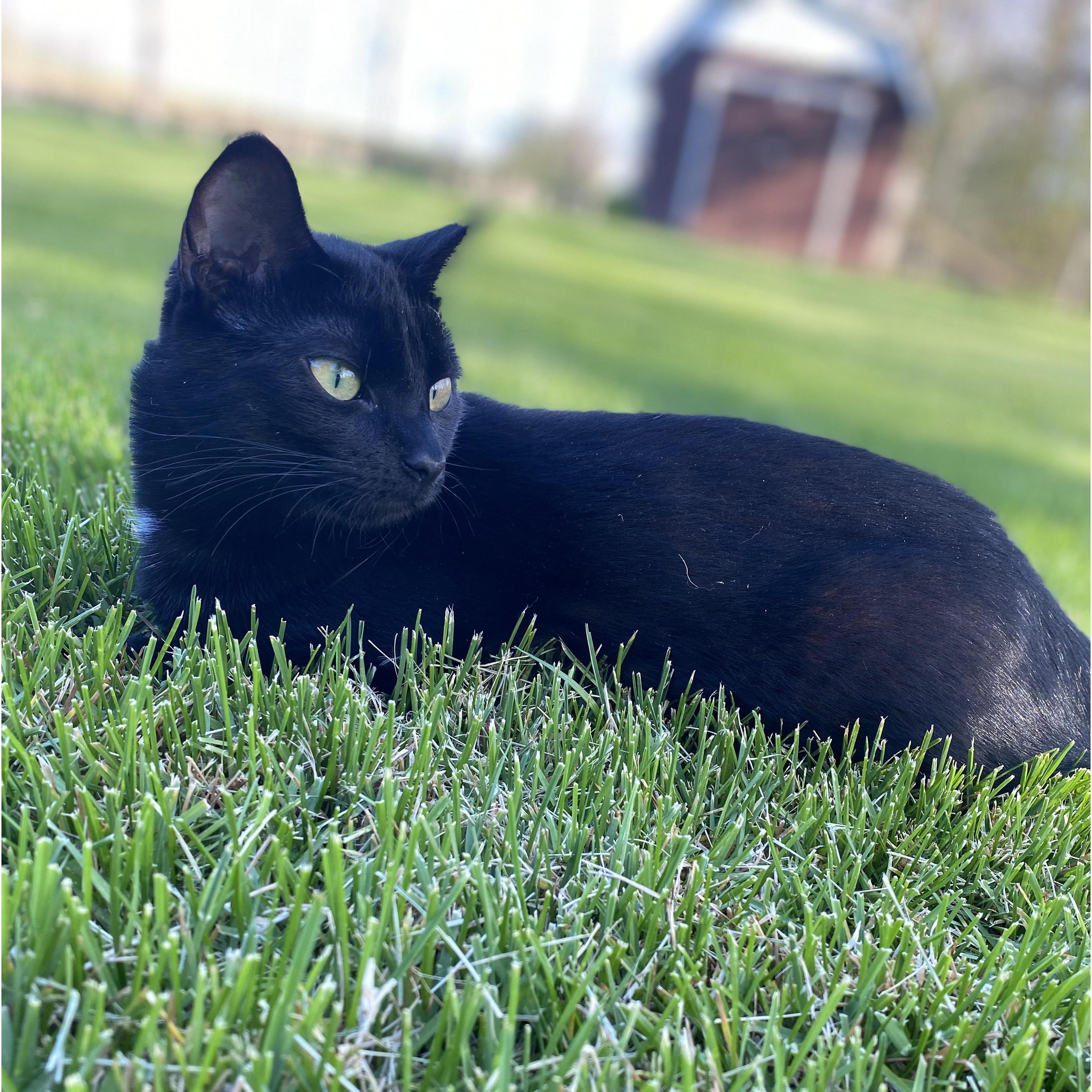 Our youngest Member of the family! Coco