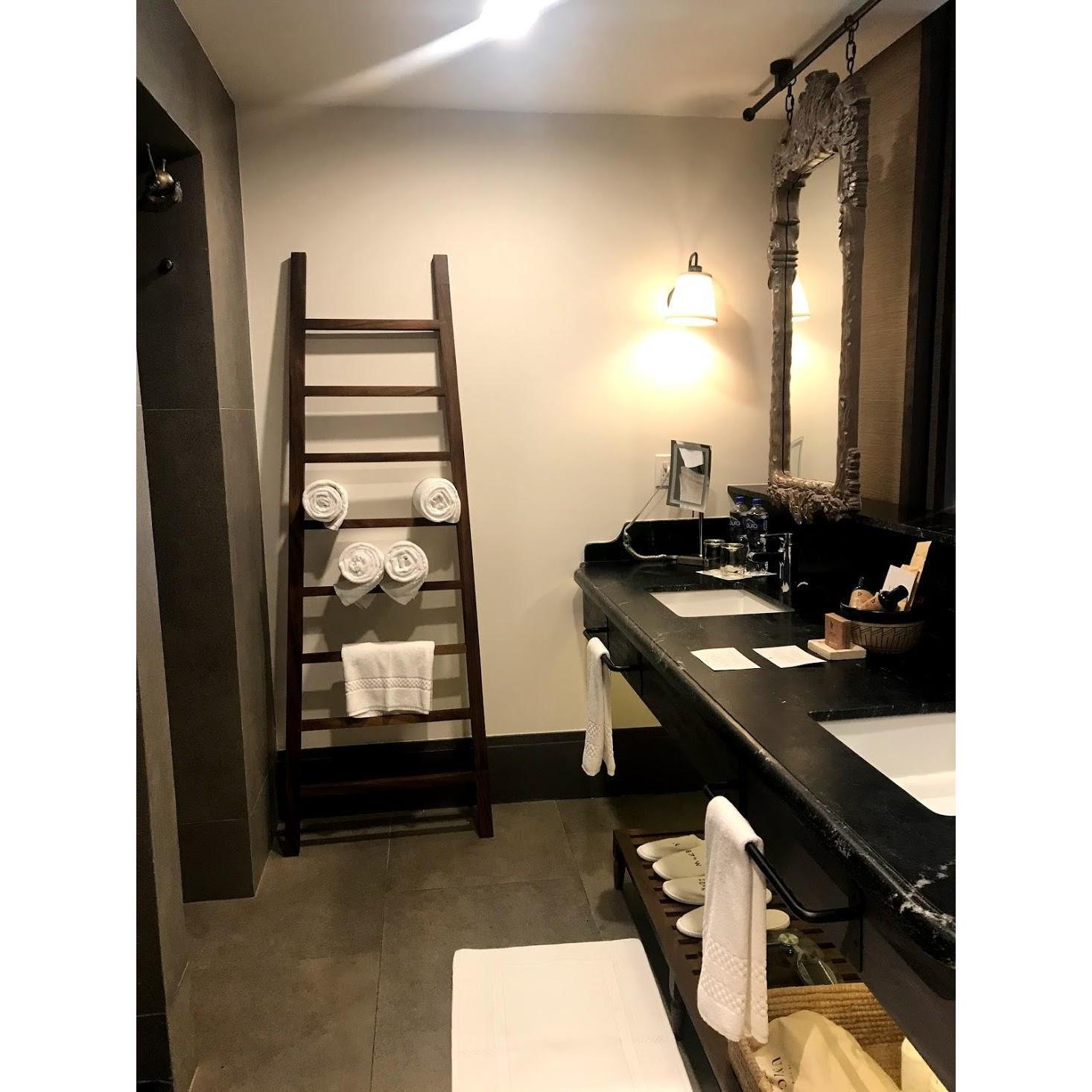 The Room - Bathroom Area