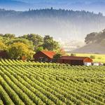 Napa and Sonoma Wine Country