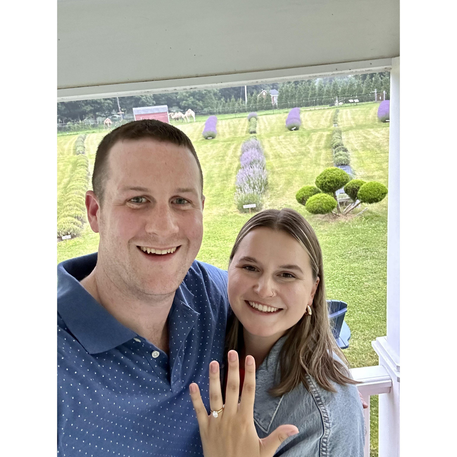 The day we got engaged at the lavender farm. The lavender farm is where we took our first trip together and has become a favorite place of ours!