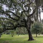 Audubon Park