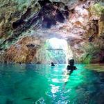 Xenotes