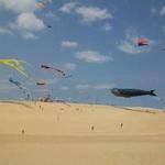 Jockey's Ridge State Park