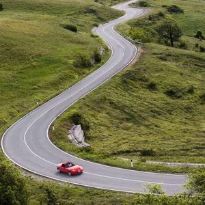 Car Rentals
