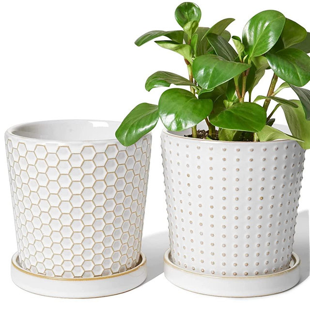 LE TAUCI Ceramic Plant Pots, 5.4 inch Indoor Planters with Drainage Hole and Saucer, Embossed Flower Pot with Hole Mesh Pad, Set of 2, Reactive Glaze White