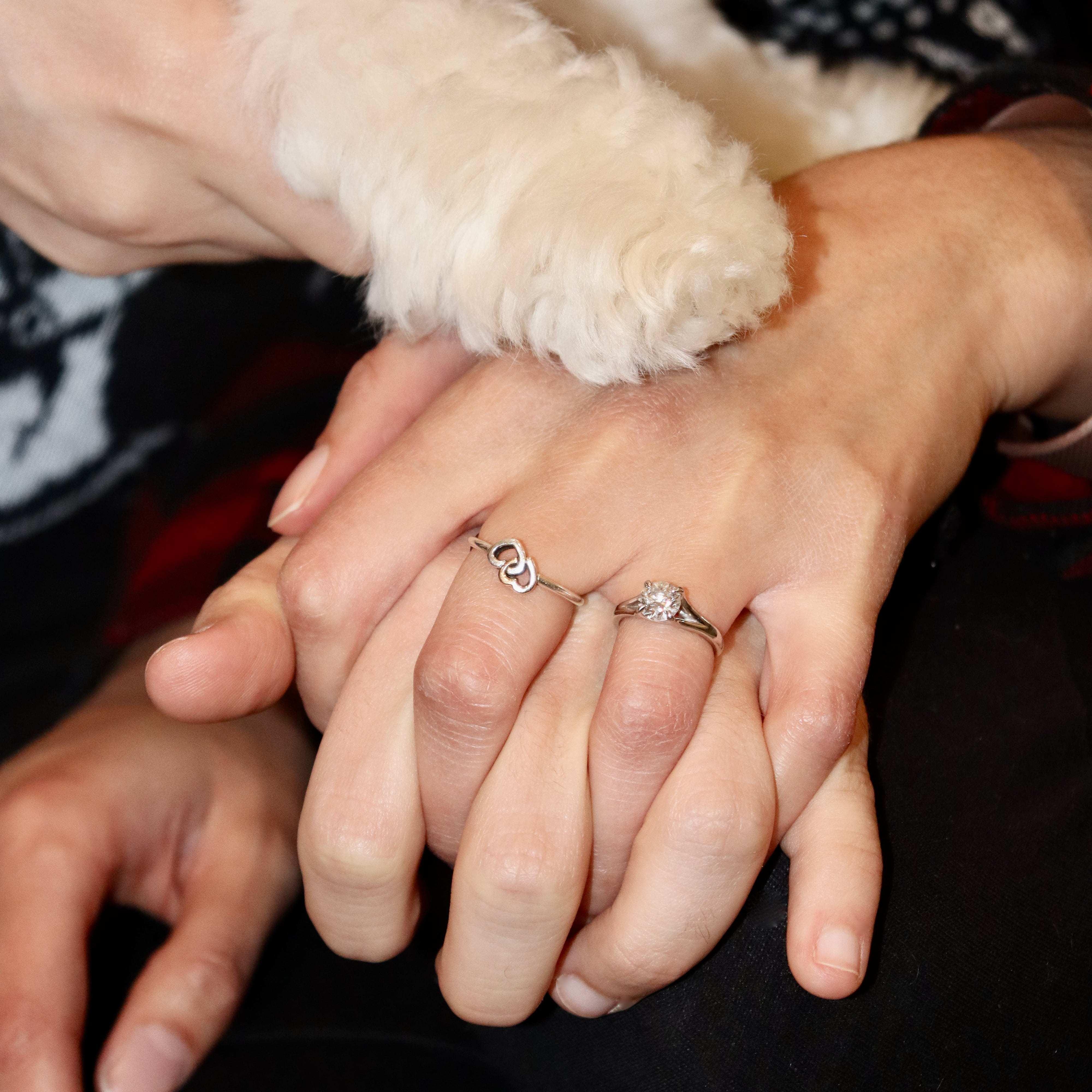 Our take on a traditional engagement photo (thanks Aaron's mom!), Richmond, VA, December 2021.