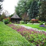 Buxton Park Arboretum