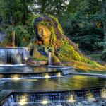 Atlanta Botanical Garden