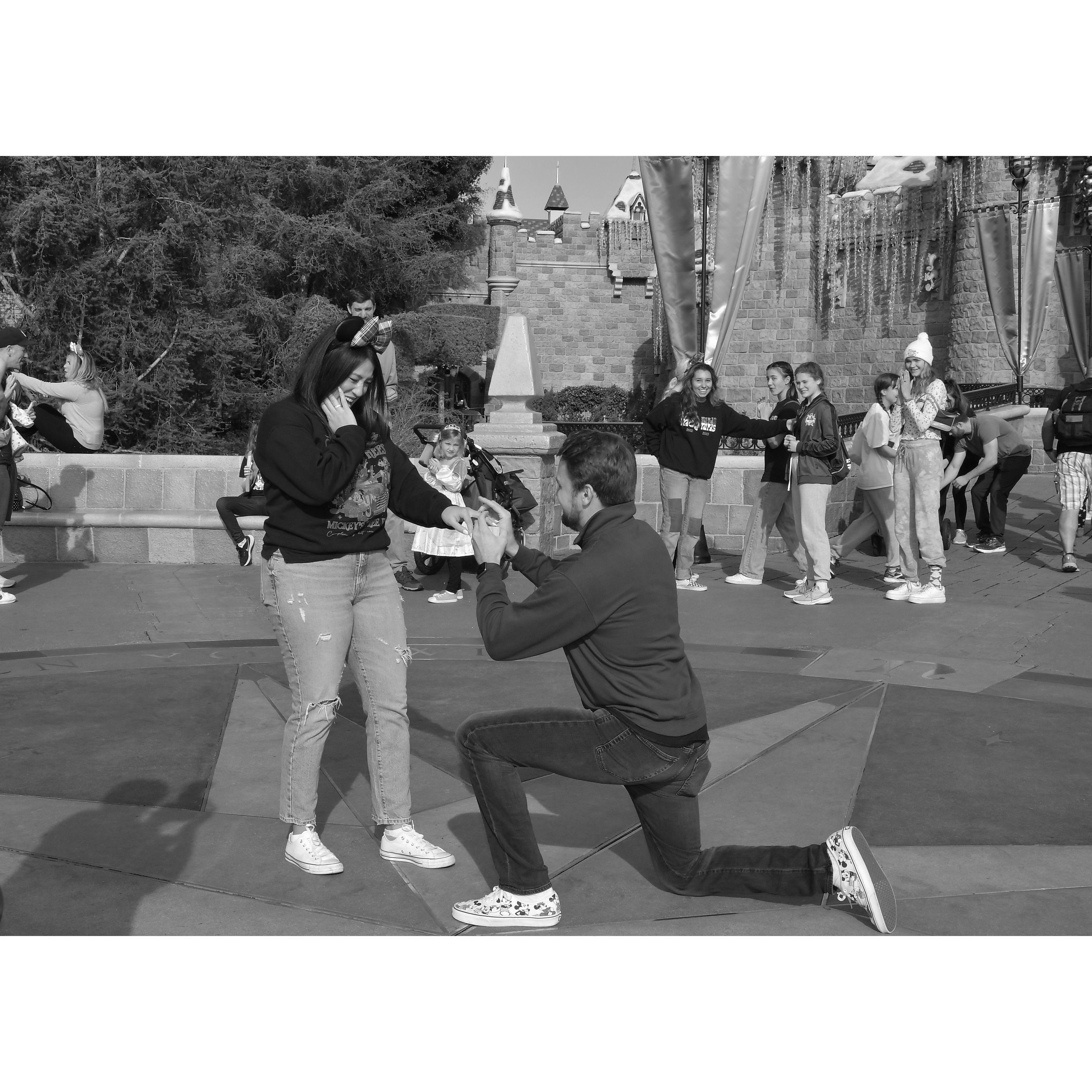 Surprise Proposal in Disneyland 12/3/2023