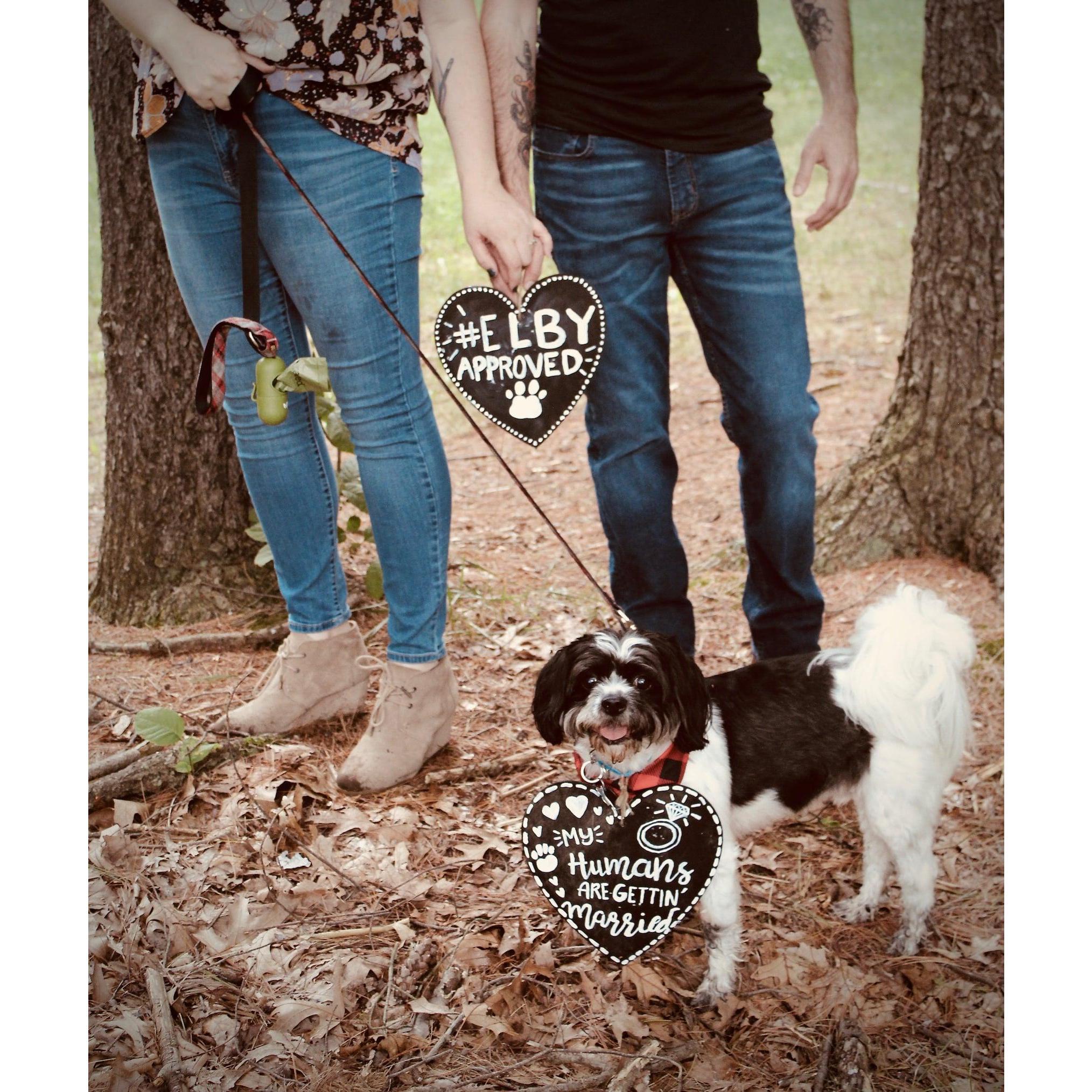 She said yes because #elbyapproved.

photo cred: Hannah Lauth