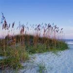 Isle of Palms Beach