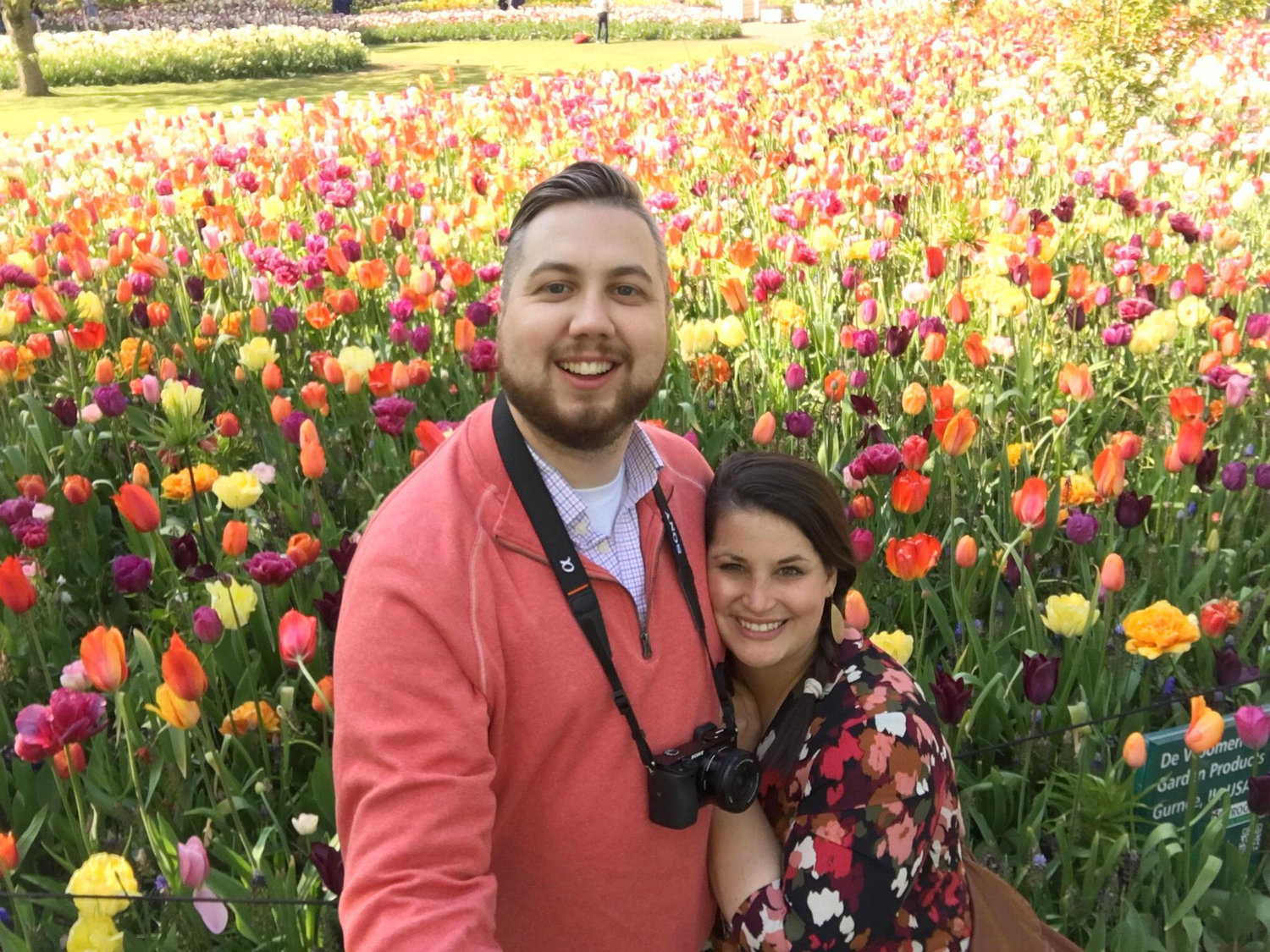 Tulip Fields outside of Amsterdam!