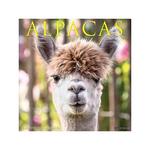 Island Alpaca Company