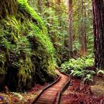 Hikes
