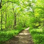 7 Mile Creek Park