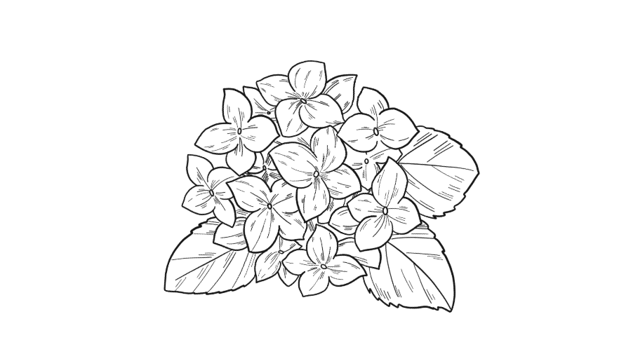 Footer image
