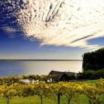Finger Lakes Wineries