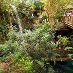 The Dallas World Aquarium