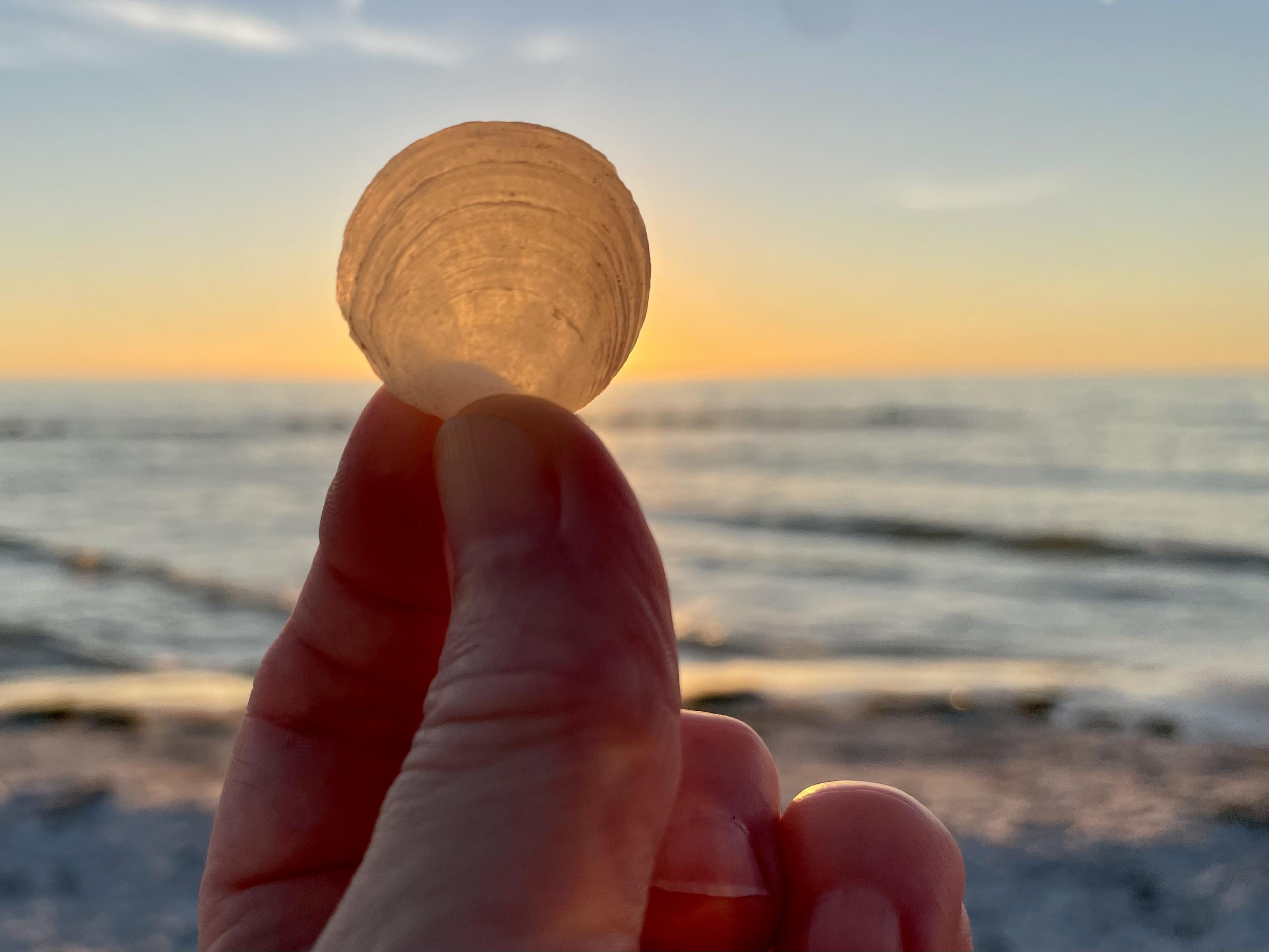 The Wedding Website of Angie Tornabane and Michelle Melchers