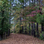 Bowie Nature Park