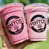 Pinto's Farm