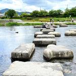 Stepping Stones at Kamogawa Delta