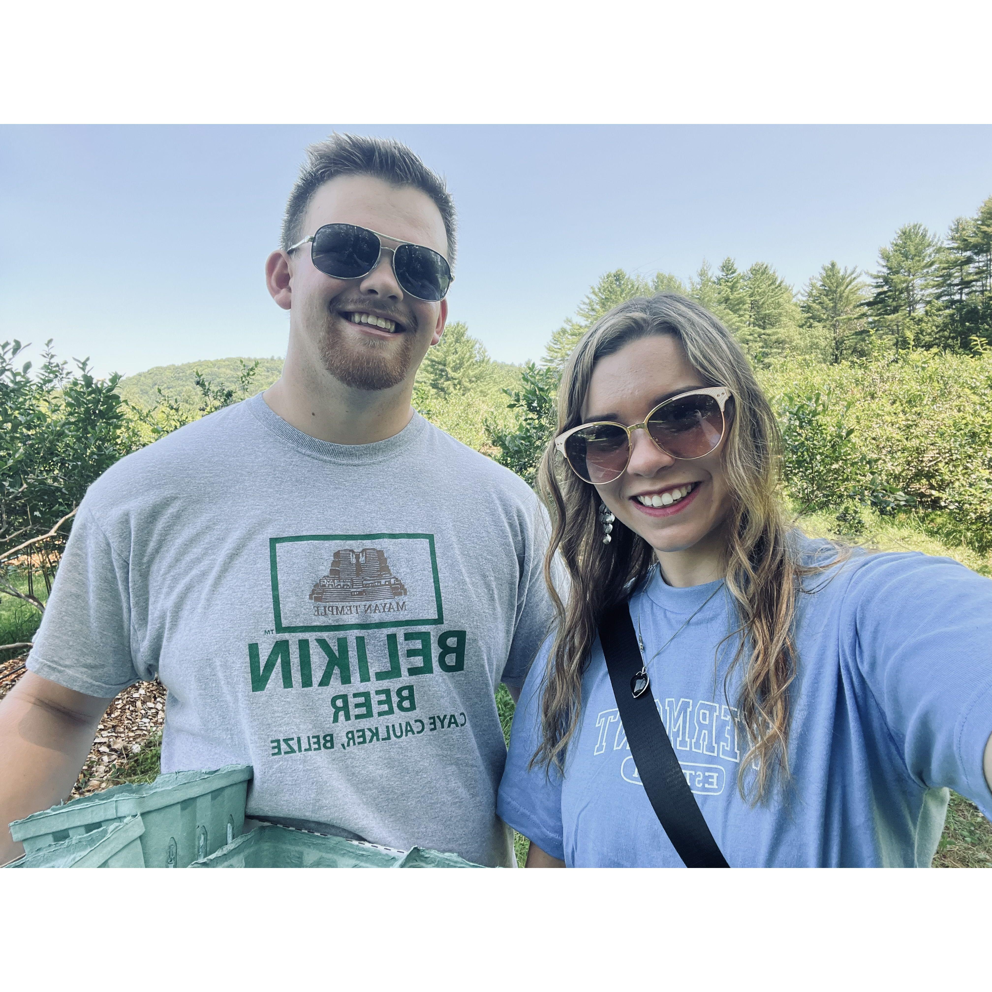 Blueberry Picking in VT
