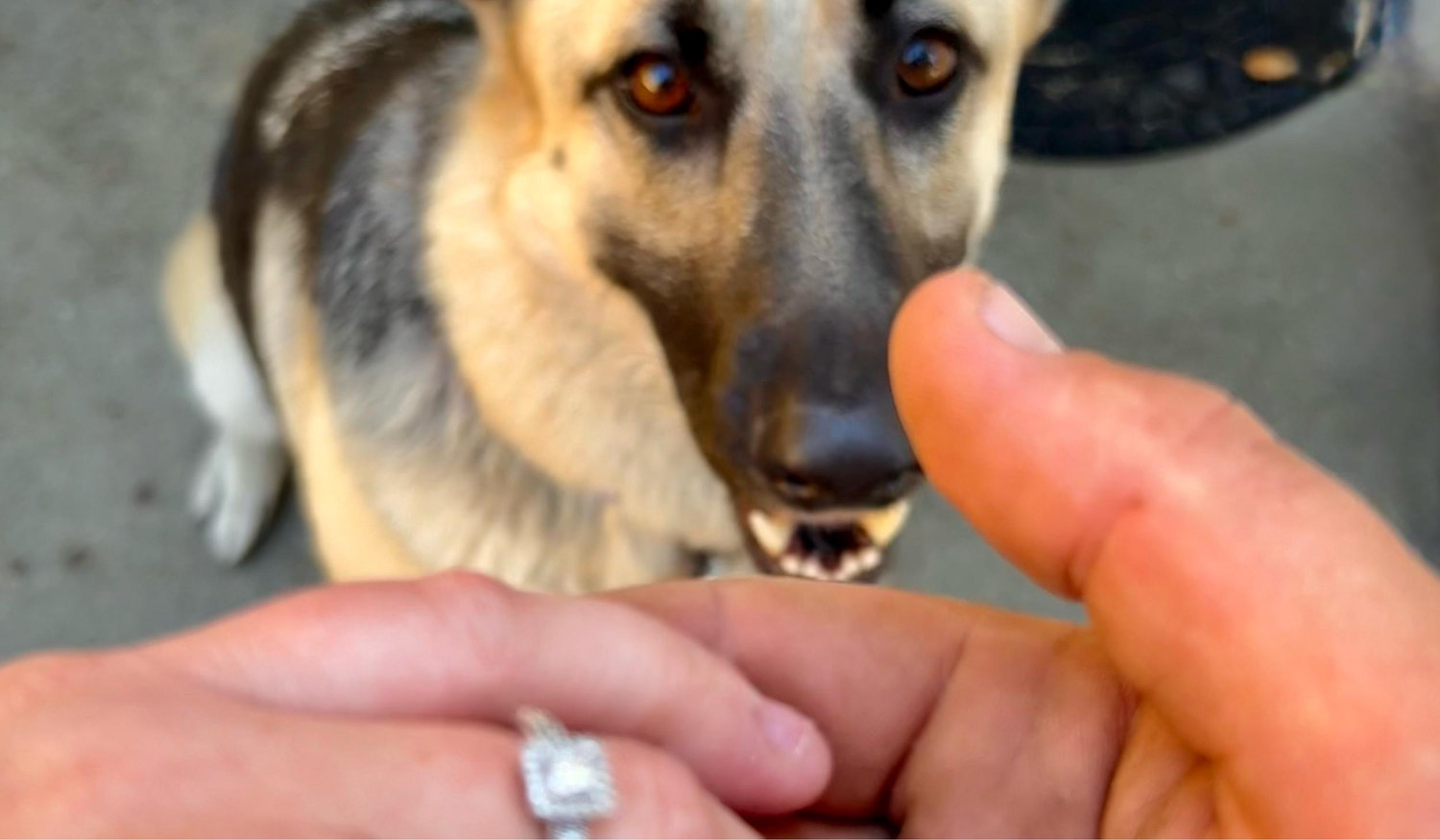 The Wedding Website of Caitlin Ott and Garrett Tice