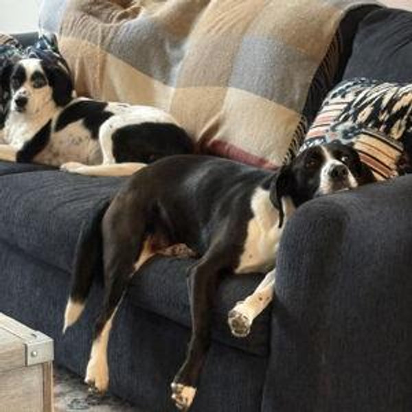 Couch Fund