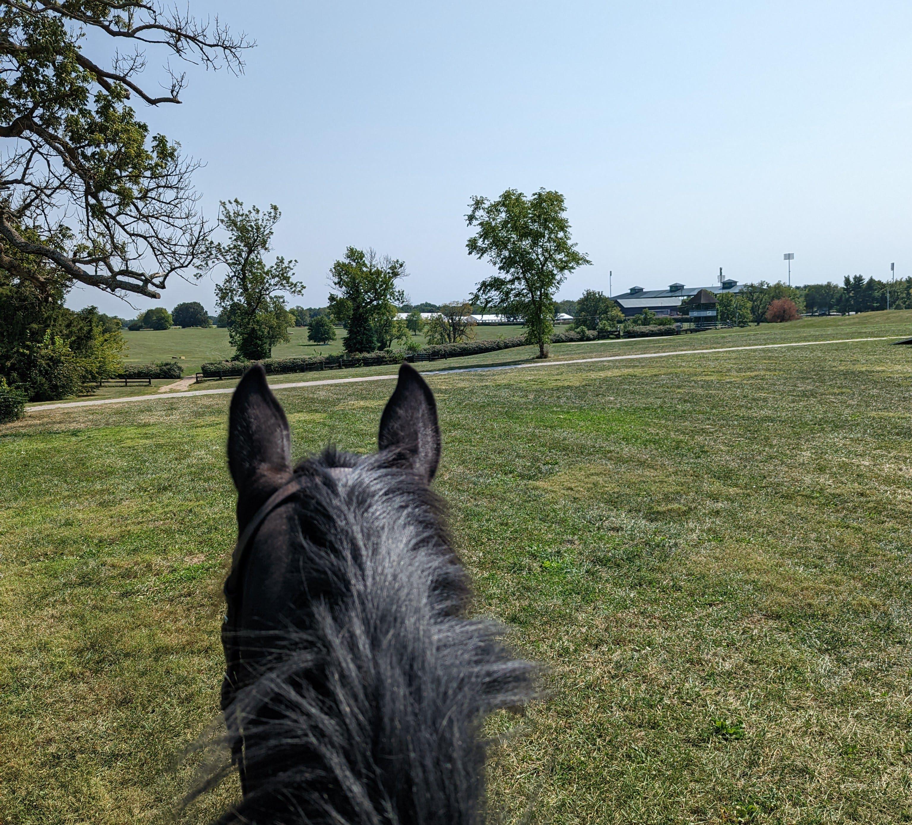 The Wedding Website of Marian Foster and Brendan Kirwan