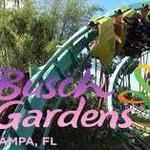 Busch Gardens Tampa Bay