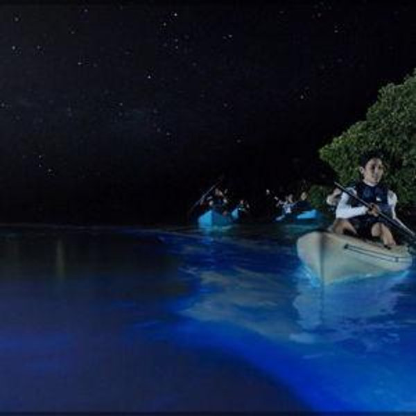 Mosquito Bay Bioluminescent Bay Kayak Tour