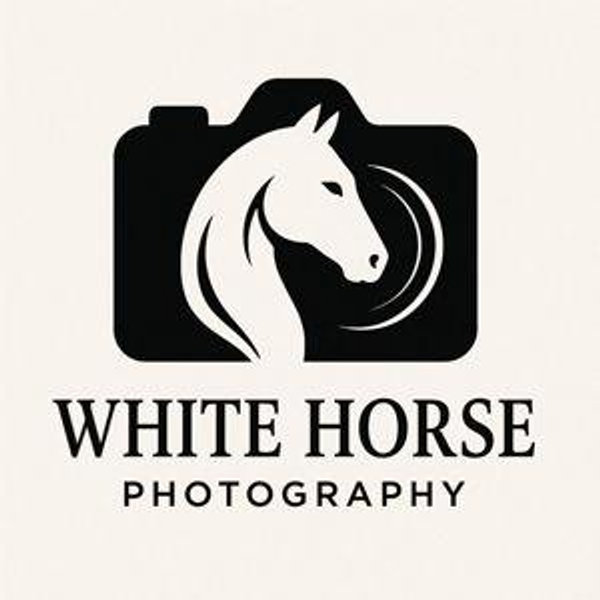 Our Wedding Photographer