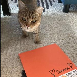 Donate to our community: Give Me Shelter SF