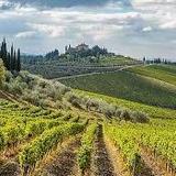 Chianti Region- Rolling hills, vineyards, castles