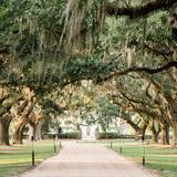 Boone Hall Plantation