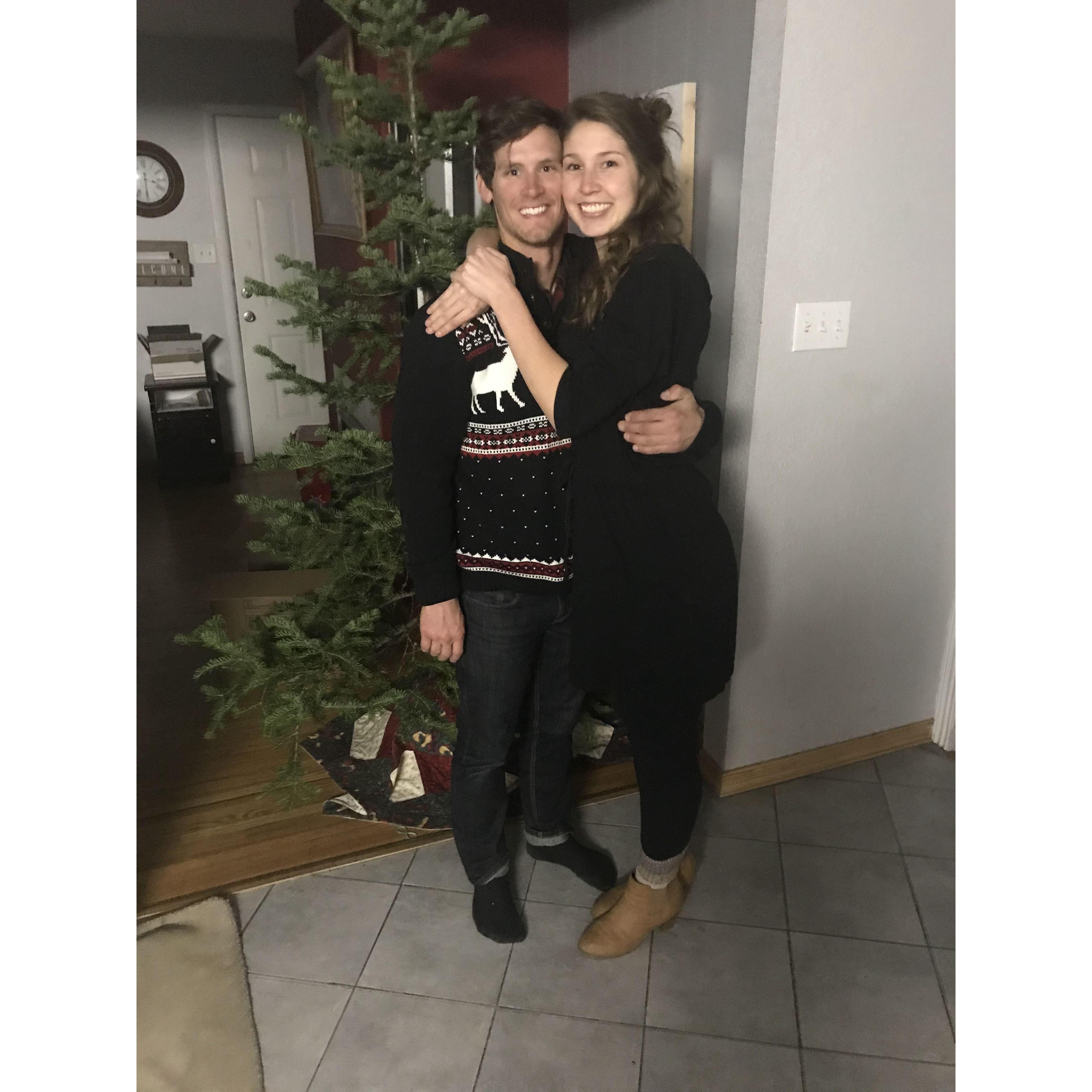 Botanical Garden Light Show Date: Christmas 2018
