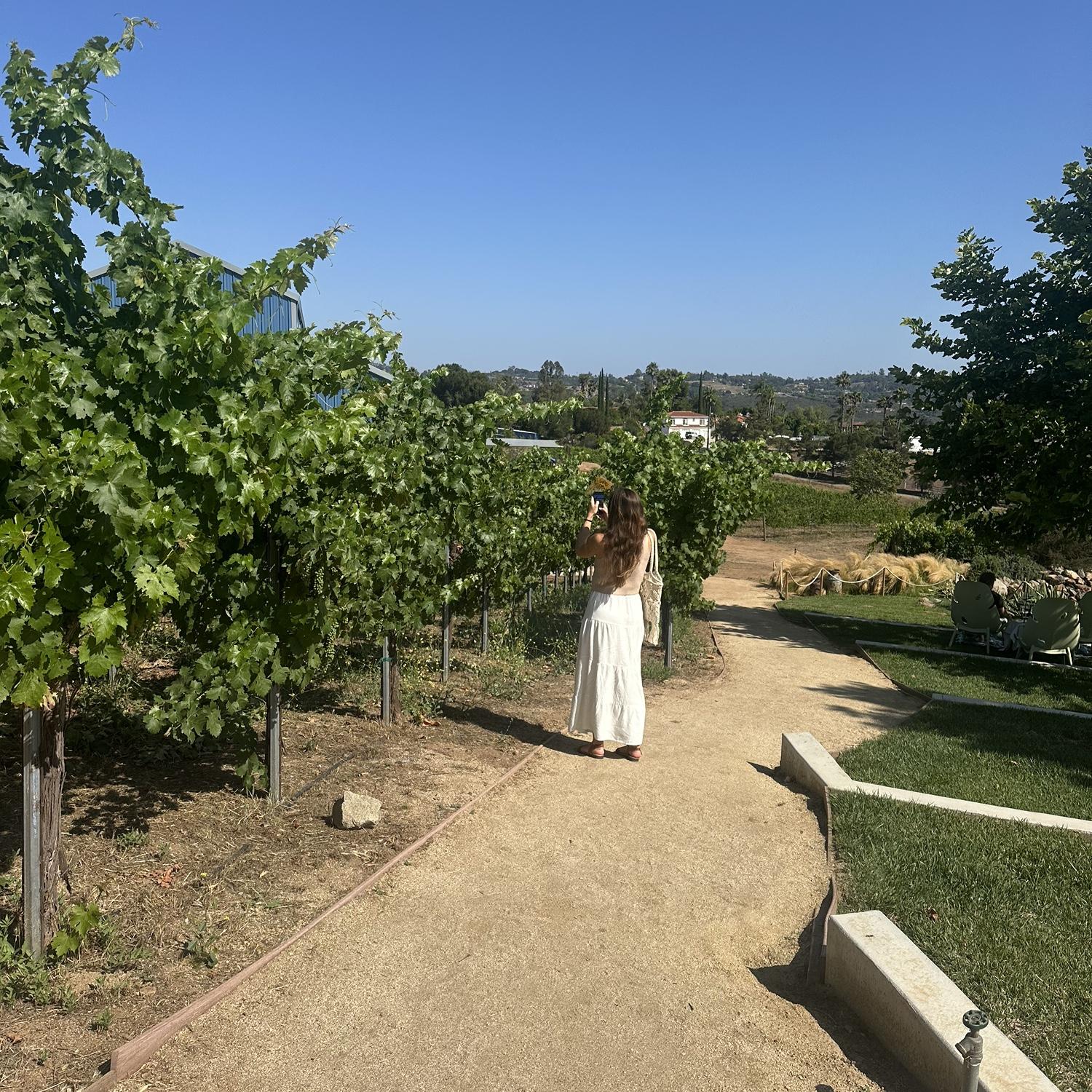 Fallbrook Via Del Gavilan California