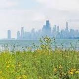Montrose Point Bird Sanctuary